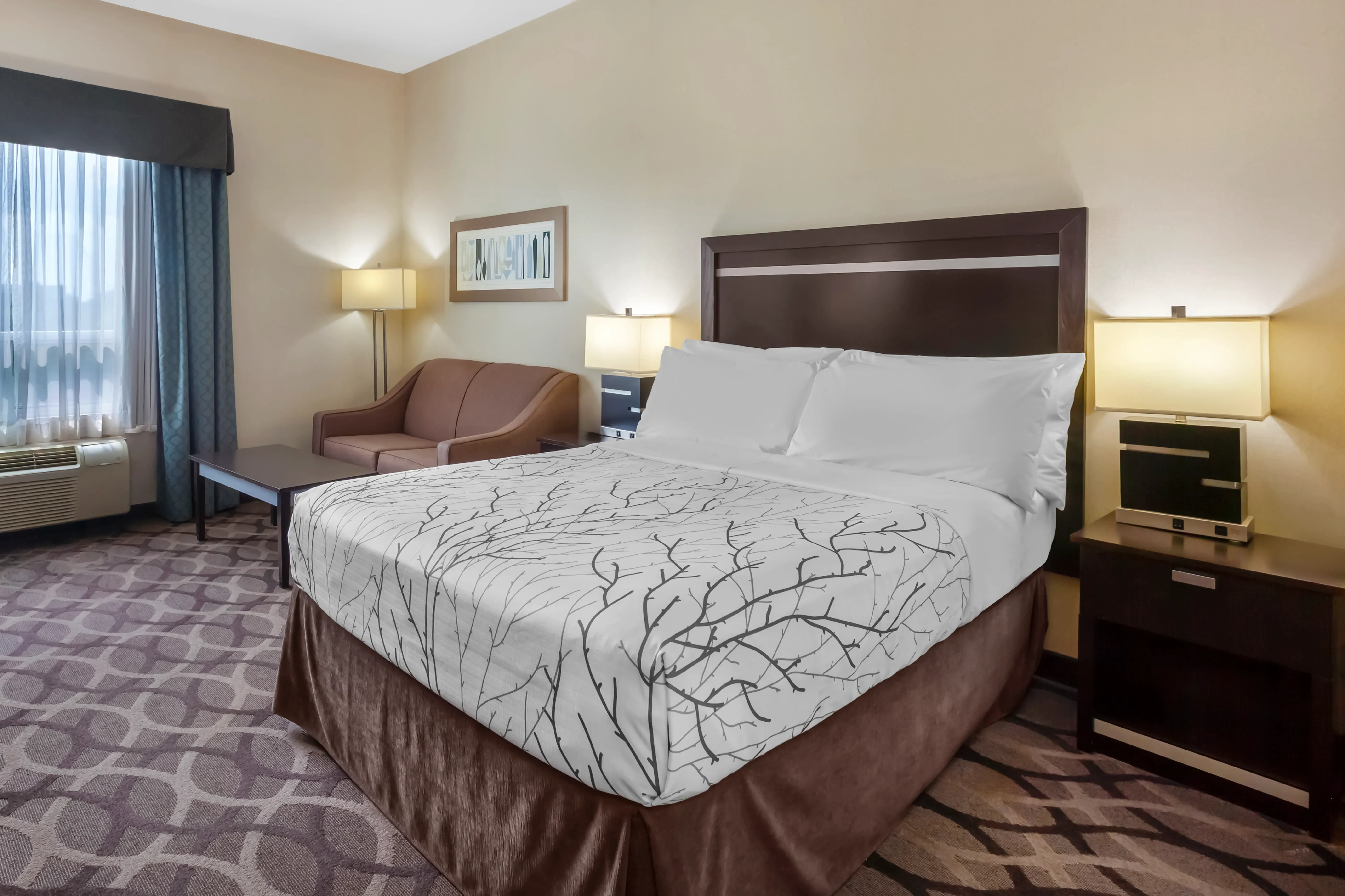 1 Queen Bed 1
