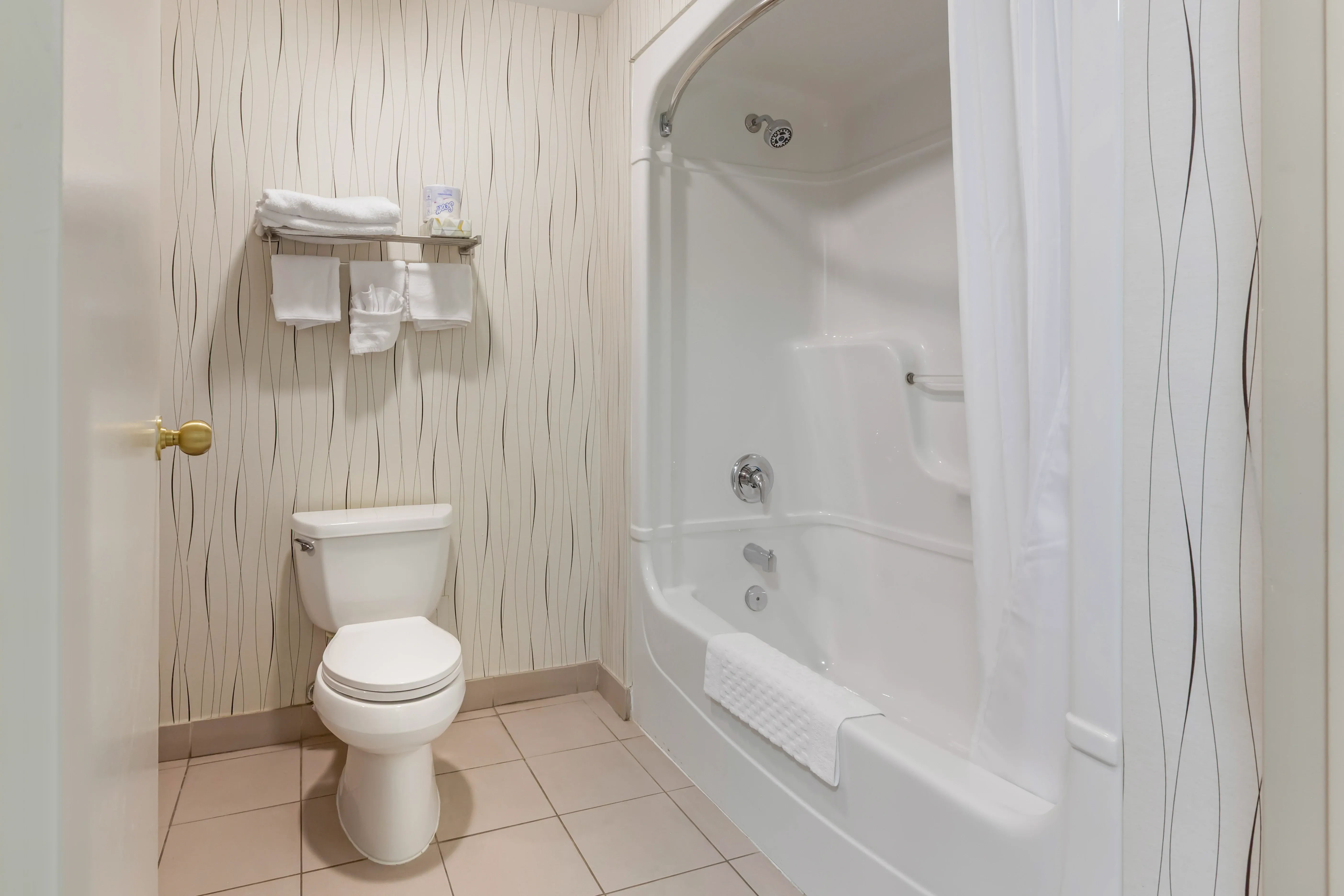 King Suite with Jetted Tub 5