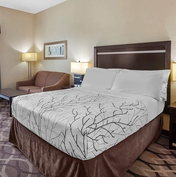 1 Queen Bed 1