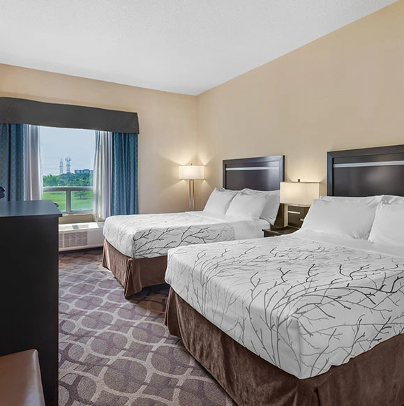2 Queen Beds 1